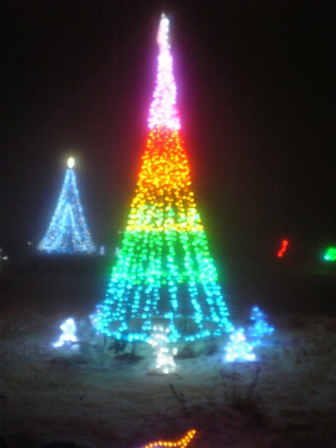 湖上のイルミネーション