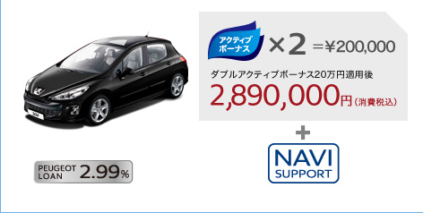 ◆PEUGEOT SELECTION 2010 Final◆