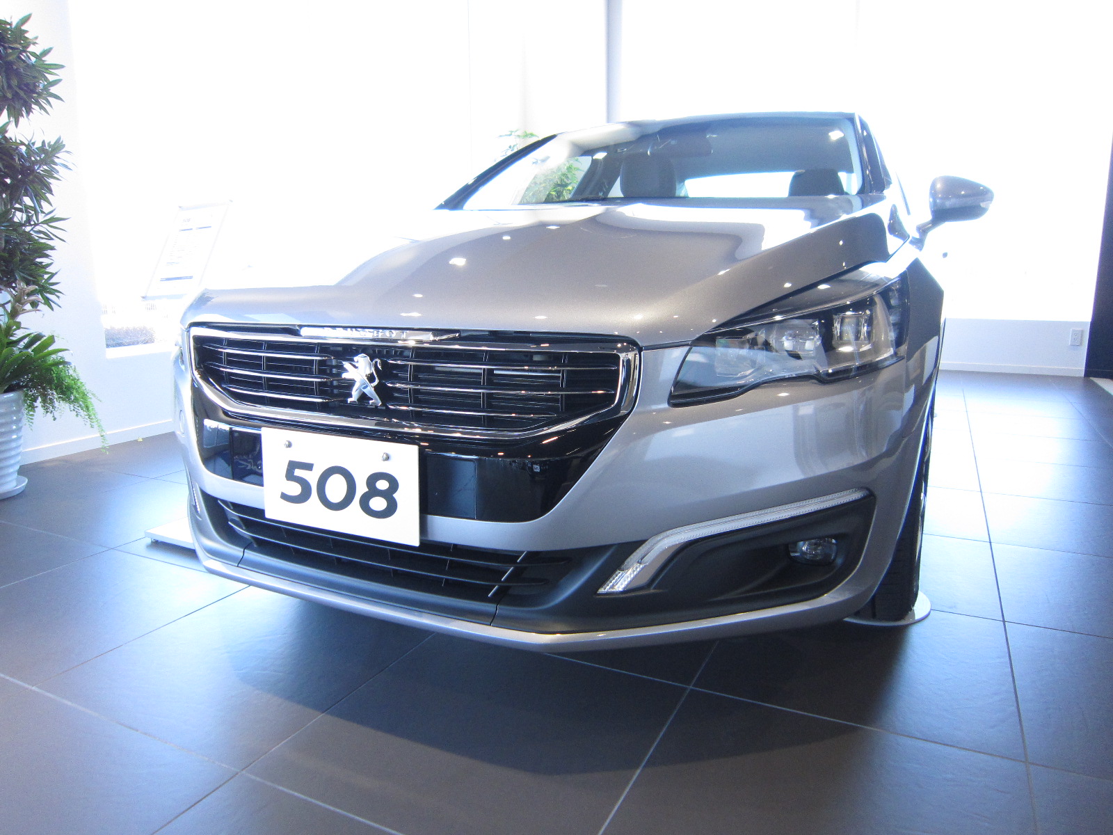 ◆NEW 508　DEBUT FAIR◆1/17(Sat),18(Sun)