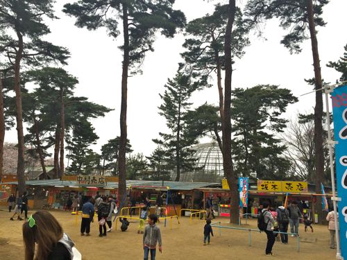 桜の季節になりました☆