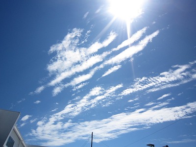 ☆プジョースカイ☆