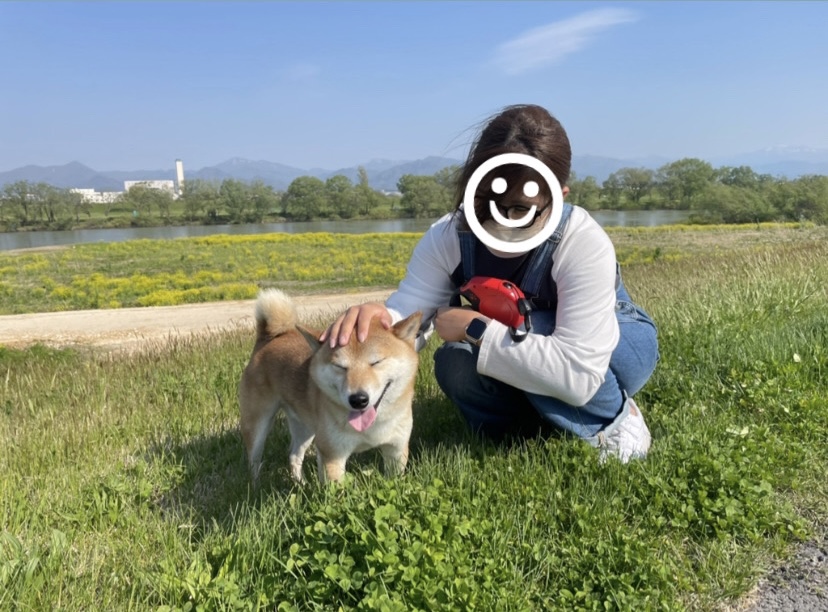 本日から通常営業！