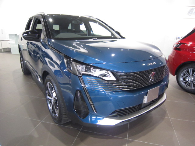 3008新色来ました‼