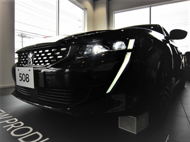 NEW508