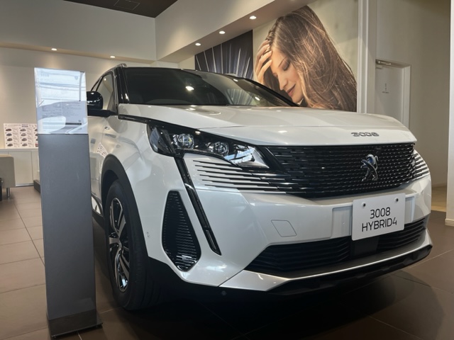 NEW！展示車のご紹介🚗