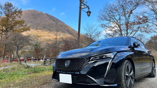 紅葉を見に行きました🍁