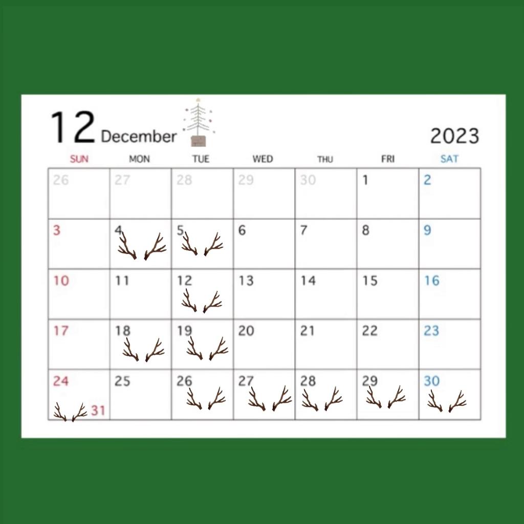 12月営業日のお知らせ🎄