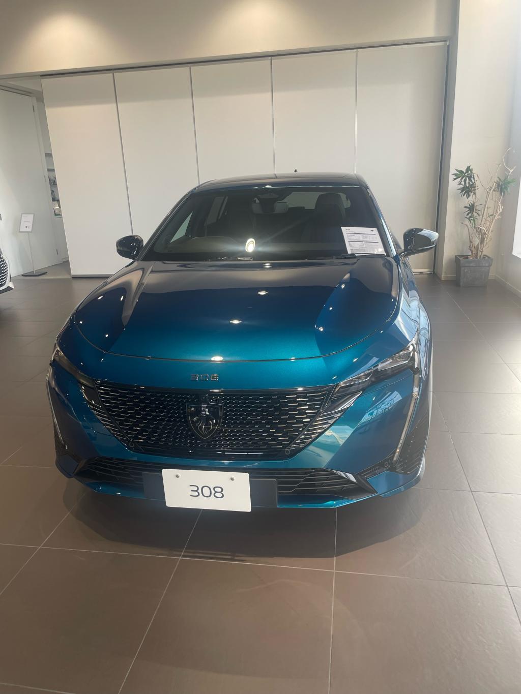 308 MHEV